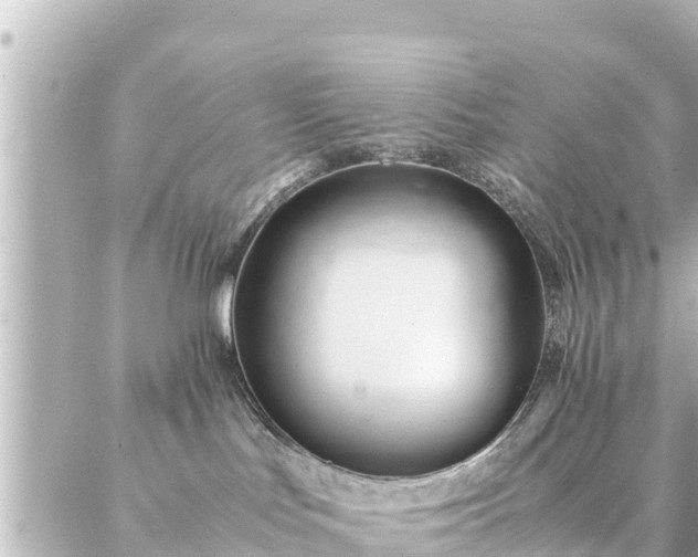 X0000086990047200704231856