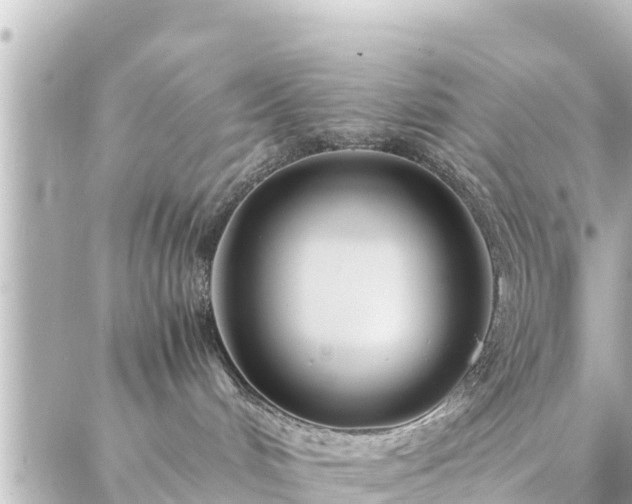 X0000086990048200704231856