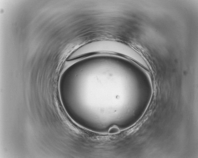 X0000086990049200704231855