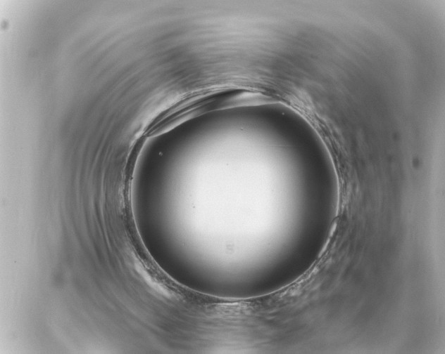 X0000086990050200704231855