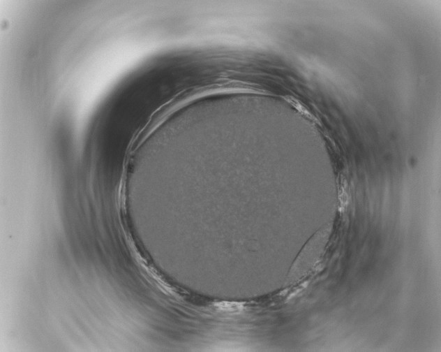 X0000086990052200704231855