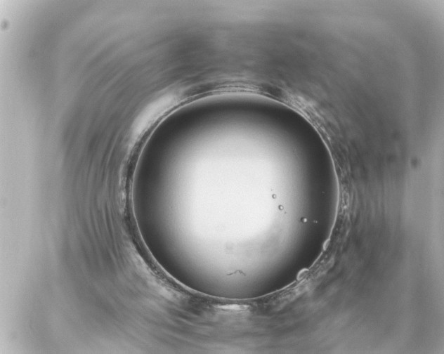 X0000086990053200704231855