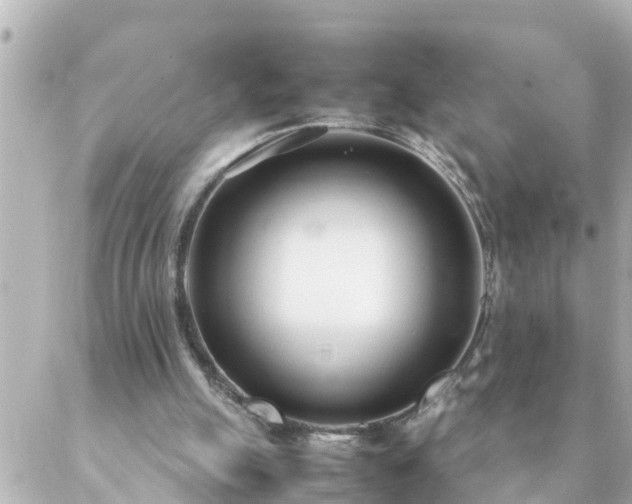 X0000086990055200704231855