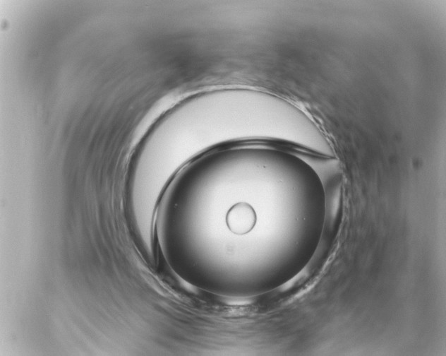 X0000086990056200704231855