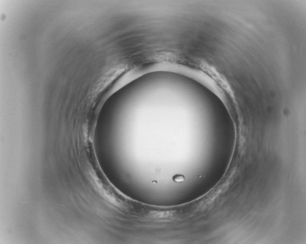 X0000086990057200704231855