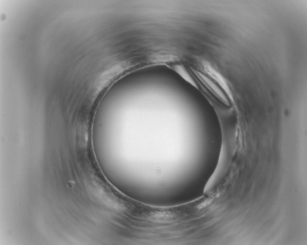 X0000086990059200704231855