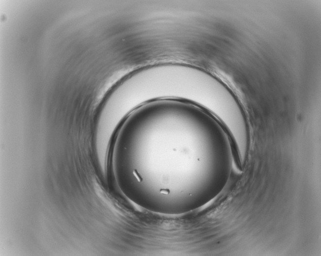 X0000086990060200704231855