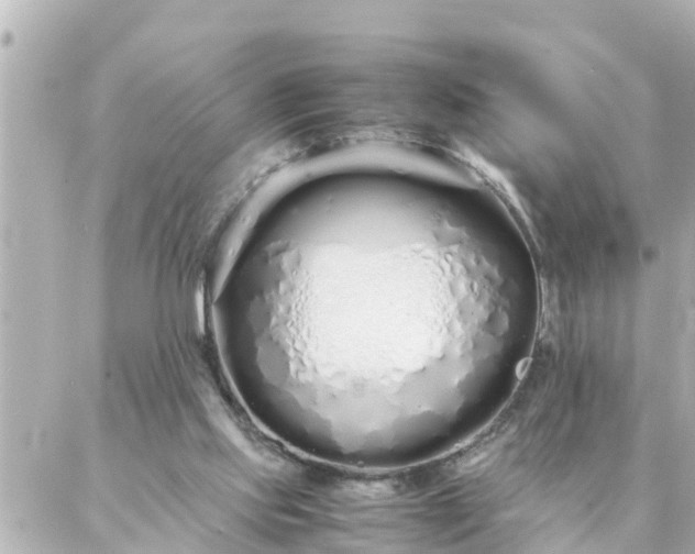 X0000086990061200704231855