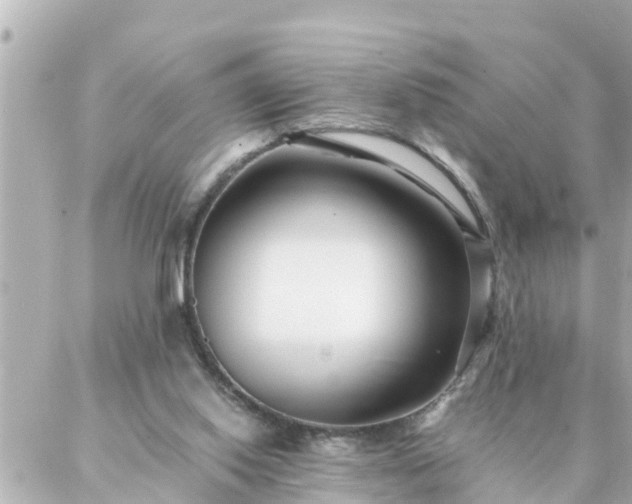 X0000086990062200704231855