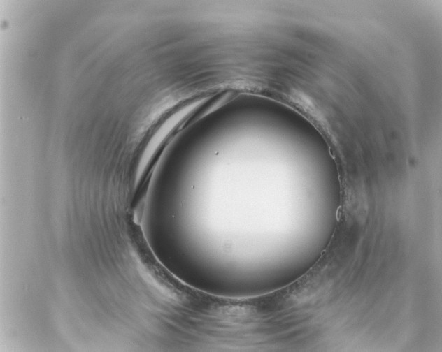 X0000086990063200704231855