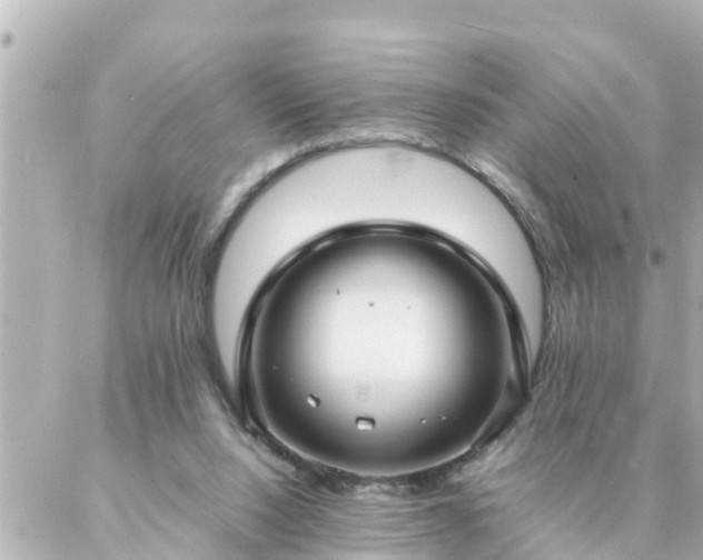 X0000086990064200704231855