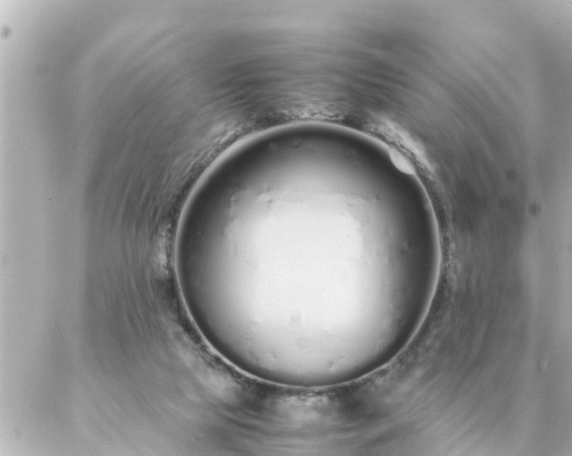 X0000086990065200704231855