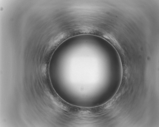 X0000086990066200704231855