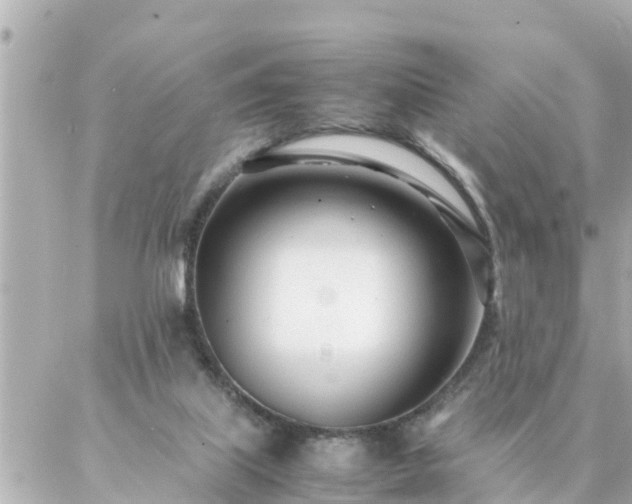 X0000086990067200704231855