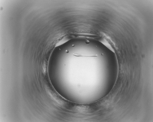 X0000086990069200704231855