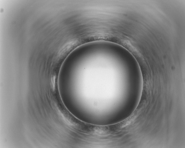 X0000086990070200704231855