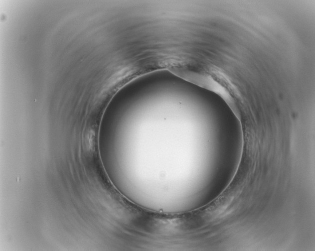 X0000086990071200704231855