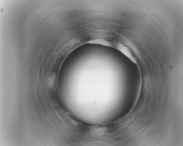 X0000086990073200704231855