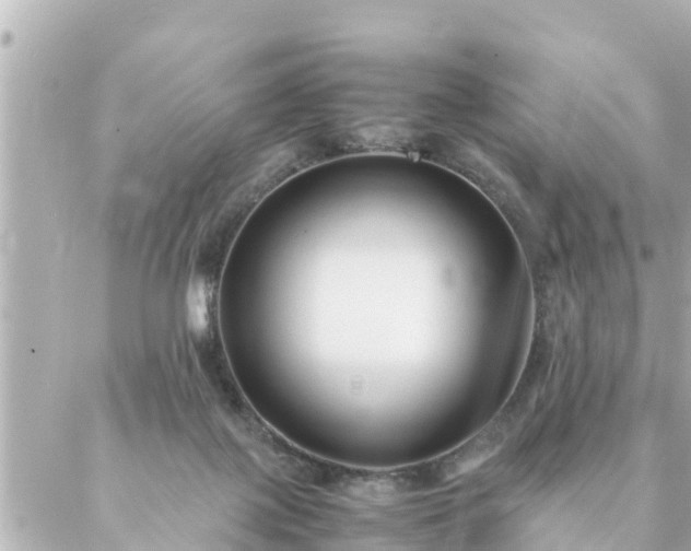 X0000086990075200704231855