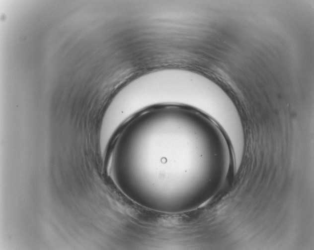 X0000086990076200704231855