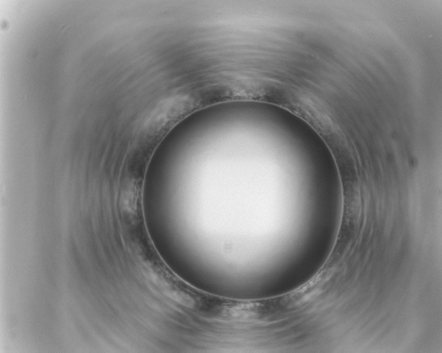 X0000086990078200704231855