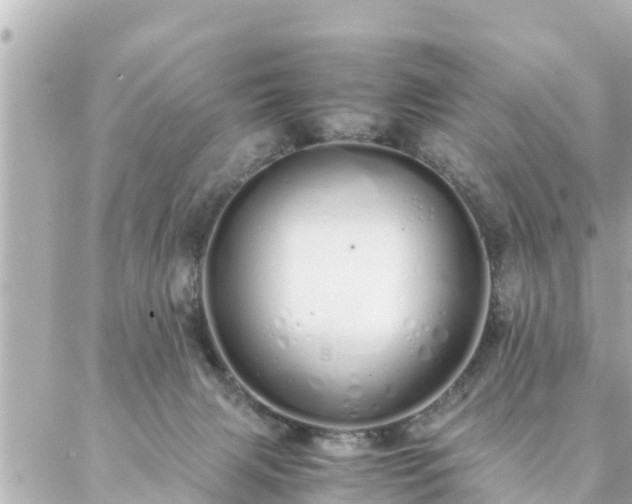 X0000086990079200704231855