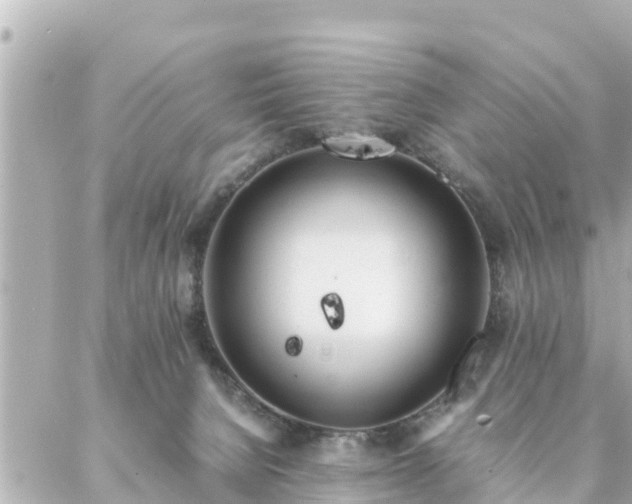 X0000086990080200704231855