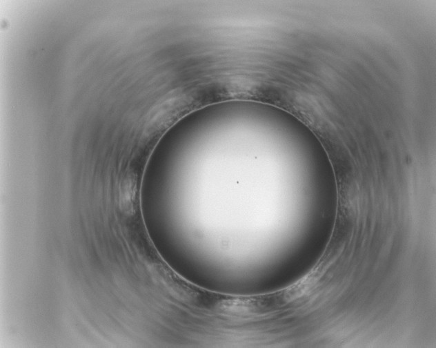 X0000086990082200704231855