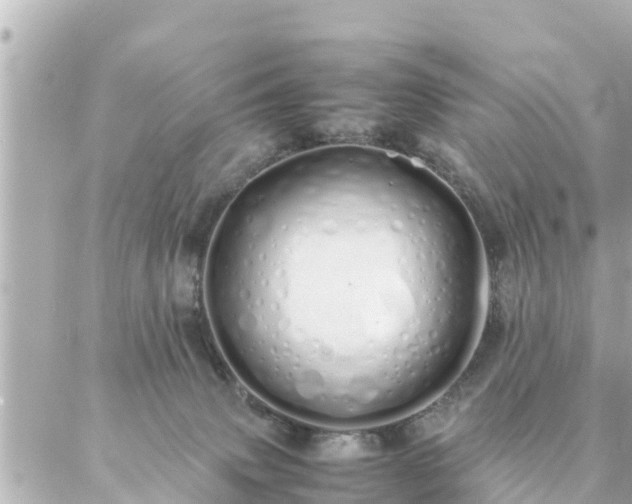 X0000086990083200704231855