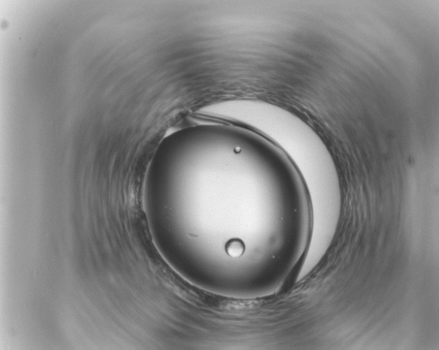 X0000086990084200704231855