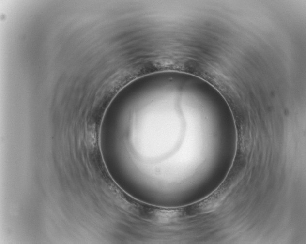 X0000086990085200704231855