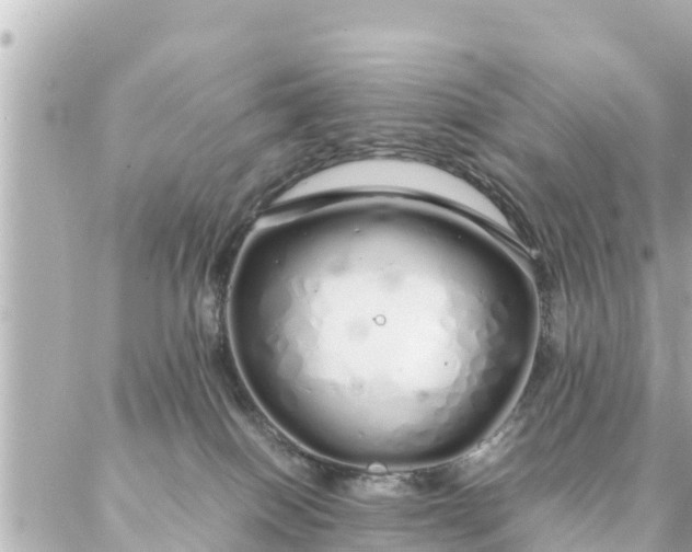 X0000086990086200704231855