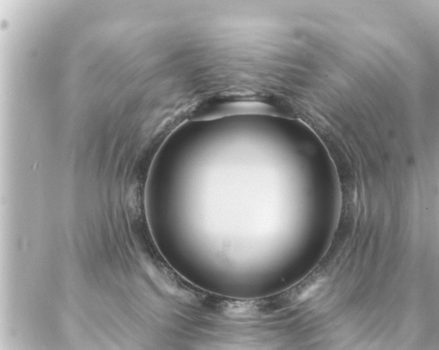 X0000086990088200704231855