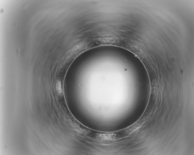 X0000086990089200704231855