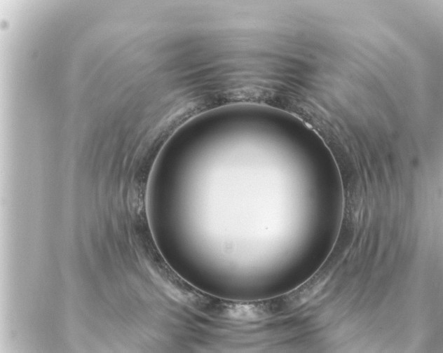 X0000086990091200704231855