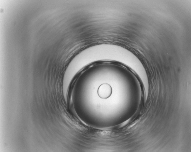 X0000086990092200704231856