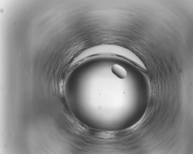 X0000086990094200704231856