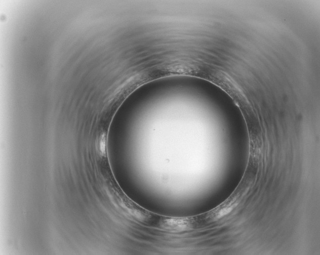 X0000086990095200704231856