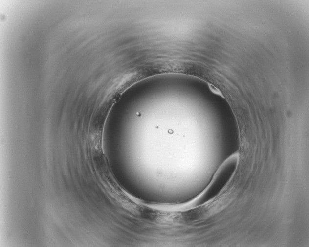 X0000086990096200704231856