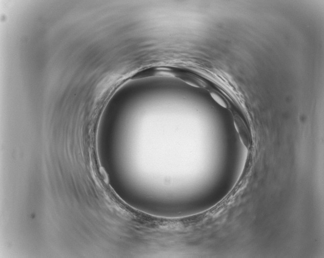 X0000086990097200704231855