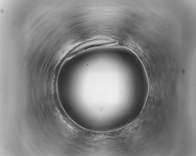 X0000086990098200704231855