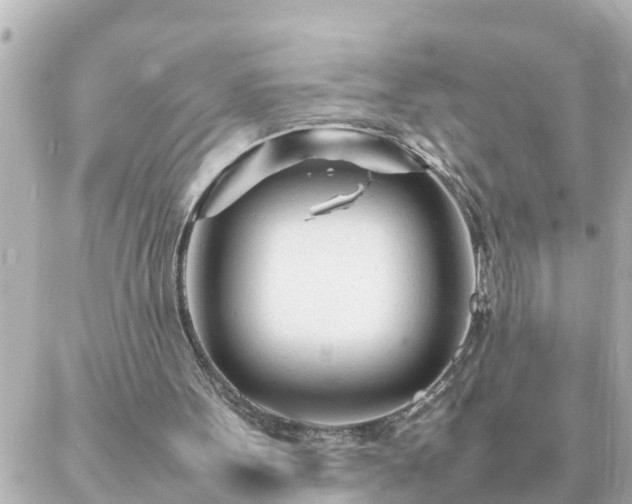 X0000086990099200704231855