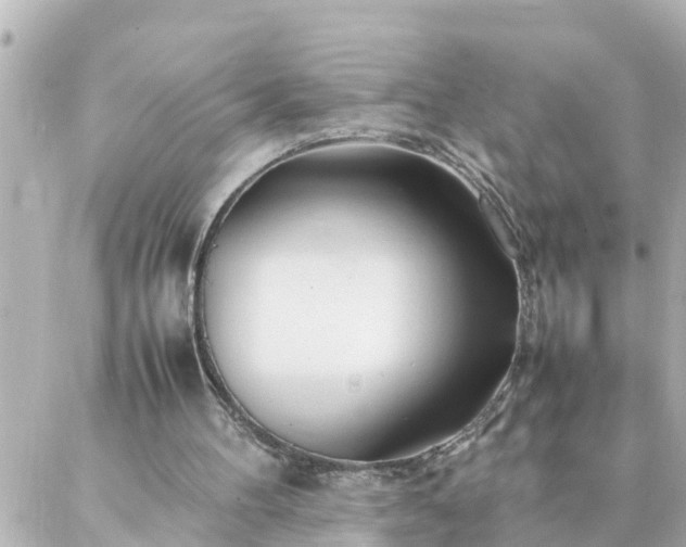 X0000086990100200704231855