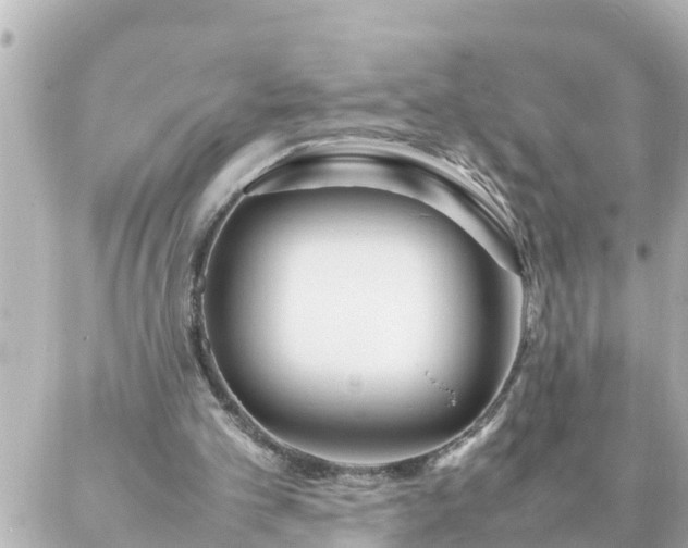 X0000086990101200704231855