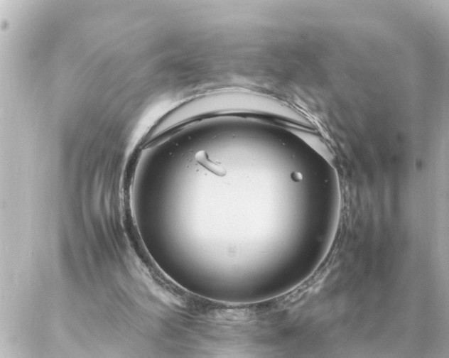 X0000086990102200704231855