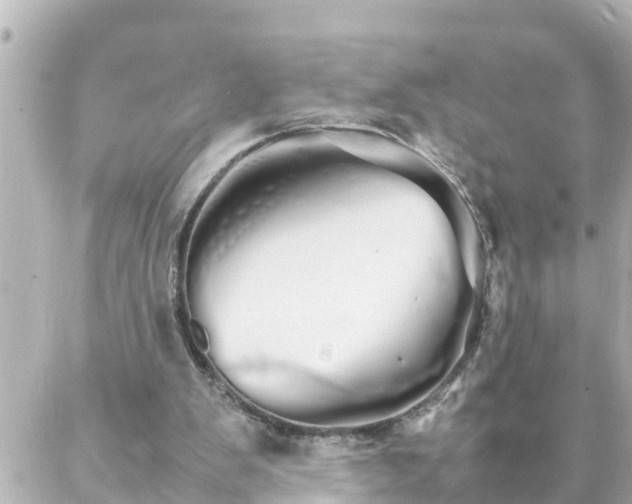 X0000086990103200704231855