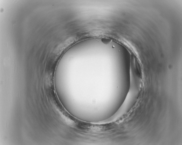 X0000086990105200704231855