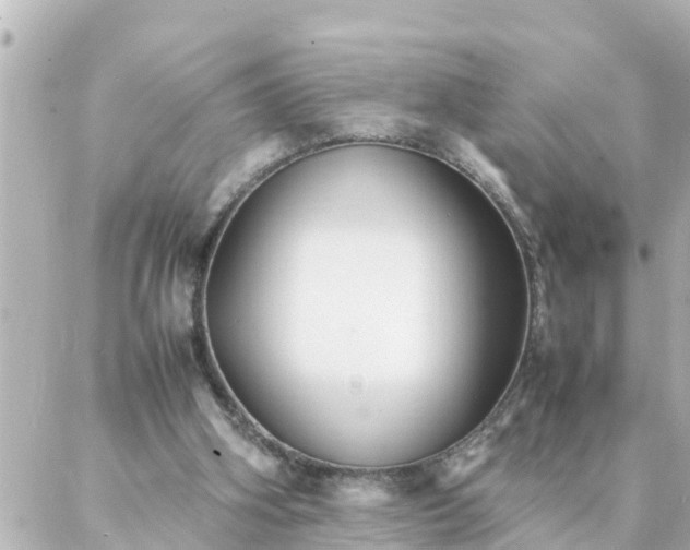 X0000086990106200704231855