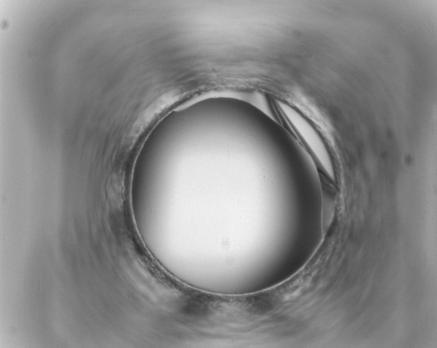 X0000086990107200704231855