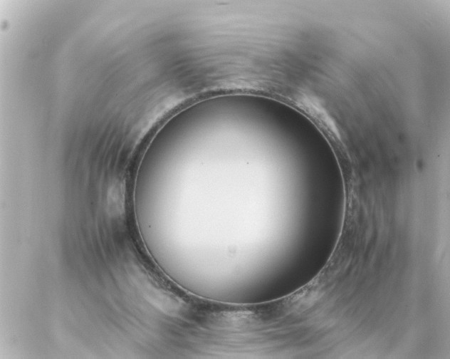 X0000086990108200704231855